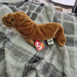 TY Beanie Baby Walrus Paul